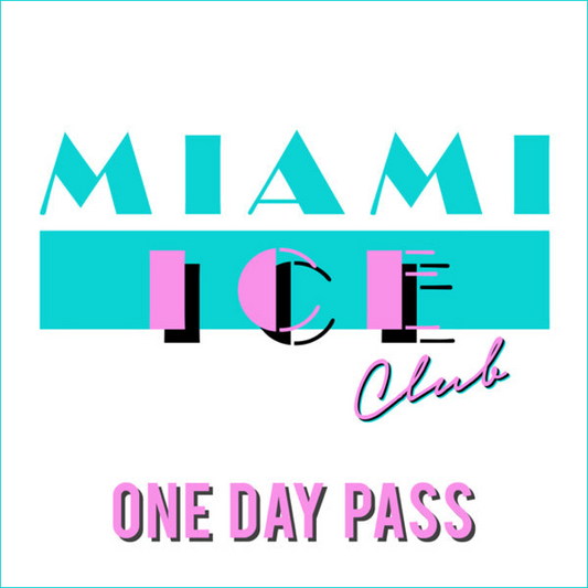 ONE DAY PASS (Experienced practitioners only)